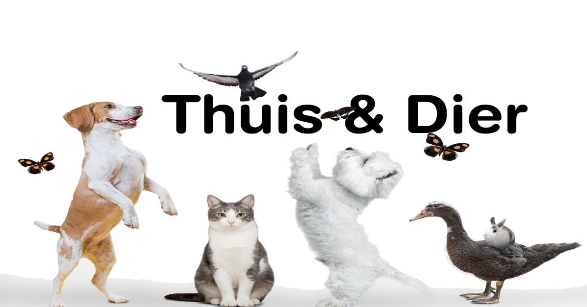 Thuis&Dier